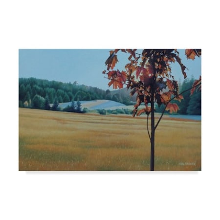 Ron Parker 'Autumn Maple' Canvas Art,16x24